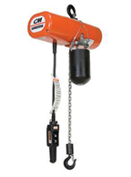 electric hoists for sale